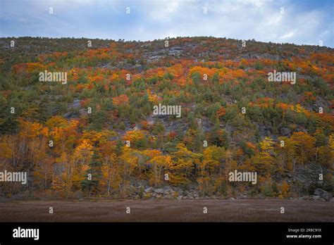 Acadia National Park near Bar Harbor Maine: Fall Foliage Stock Photo ...