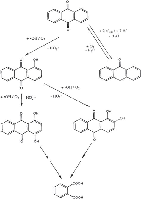 Pathway Of The Degradation Process Of Anthraquinone To Phthalic