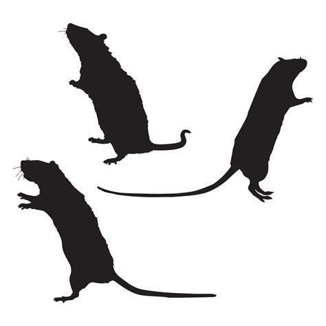 Rat Silhouette Art 7197707 Vector Art at Vecteezy