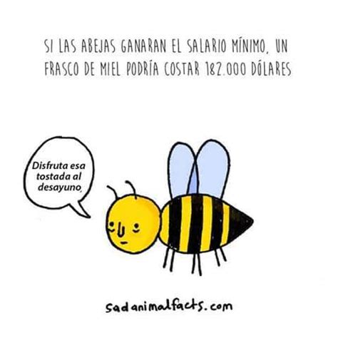 Abejas Meme Subido Por Mr Memedroid