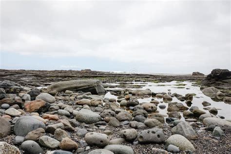 Botanical Beach Provincial Park, Port Renfrew, Vancouver Island, BC ...