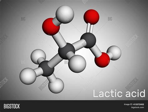 Lactic Acid Lactate Image And Photo Free Trial Bigstock