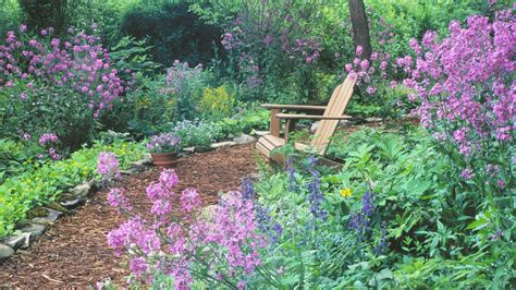 Landscaping with wood chips: 13 expert ways to use them | Gardeningetc