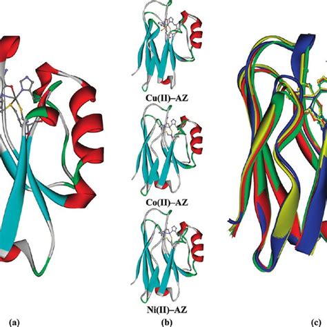 Ribbon Representation Of The Structure Of Native And Engineered Azs