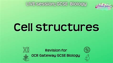 Cell Structures GCSE OCR Gateway Biology Live Revision Sessions