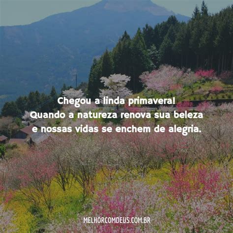 Frases E Mensagens Sobre A Primavera Melhor Deus