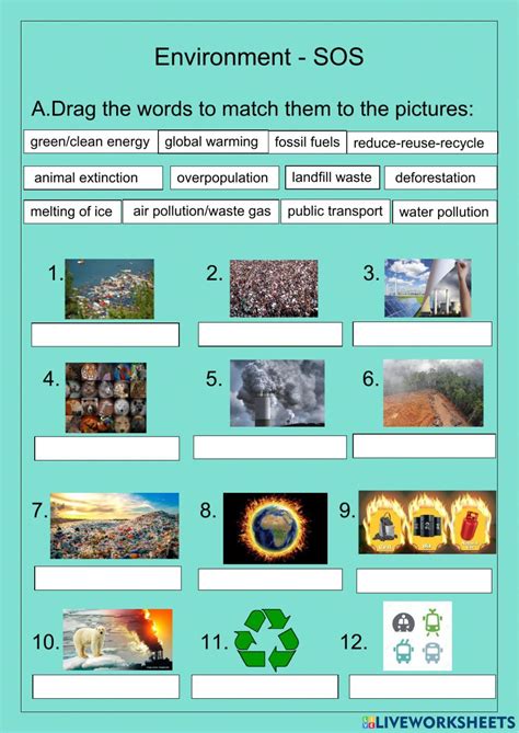 Environment Sos Worksheet Problem And Solution Environmental Problem Body Systems