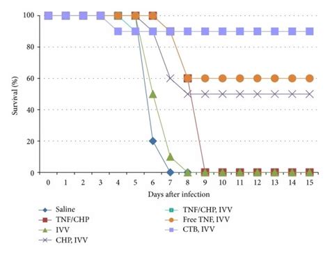 Protective Effect Of TNF CHP Nanoparticles Adjuvant Against Lethal