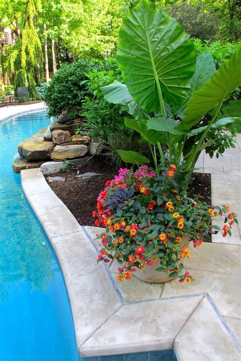 20 Amazing Pool Landscaping Design Ideas 2019 21 Plants Around Pool Landscaping Around Pool