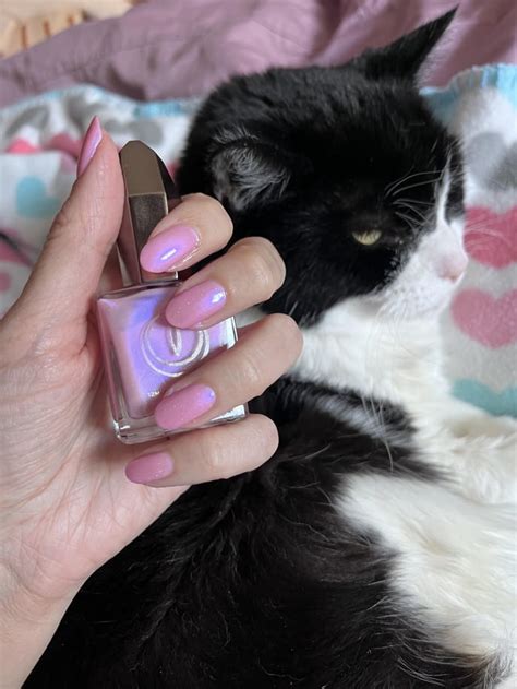 Trying To Take A Cute Pic Of My Mooncat Nails With My Cat She Was Not