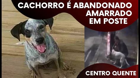 HOMEM ABANDONA CACHORRO EM POSTE Amarrado YouTube