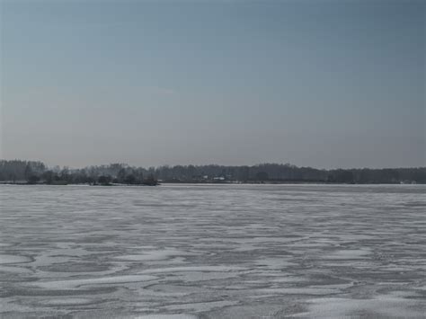 Free photo: River covered with a thick layer of ice - Woods, Winter