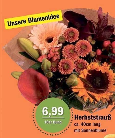 Herbststrauß Angebot bei Aktiv Irma 1Prospekte de