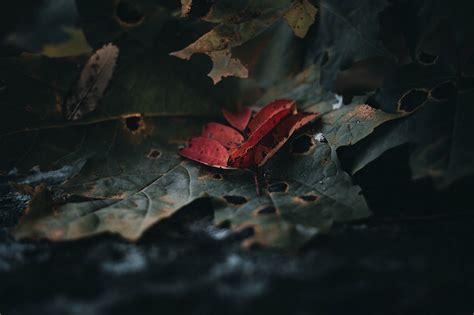 Colors of autumn on Behance