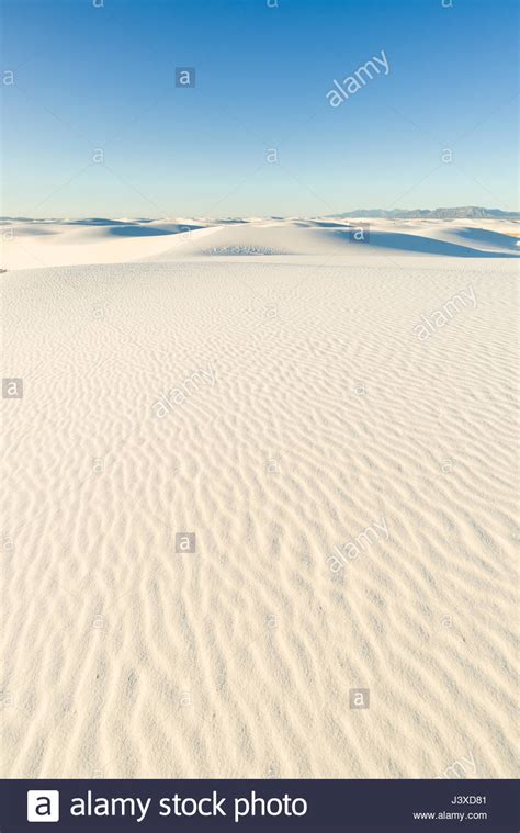 White Sand Dunes In Early Morning Light White Sands National Monument