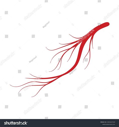 Vein Human Vector Cartoon Icon Vector Stock Vector (Royalty Free ...