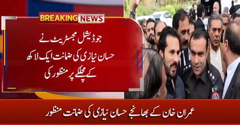 Imran Khan S Nephew Hassaan Niazi Released On Bail