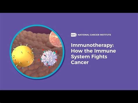 Immunotherapy for Cancer - National Cancer Institute