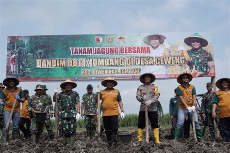 Sukseskan Program Ketahanan Pangan Nasional Kodim Jombang Lakukan