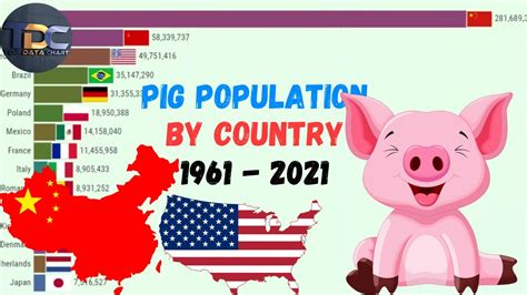 Top Countries With The Largest Pig Population Bar