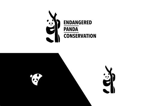 Endangered Panda Conservation by Campfire Stories on Dribbble