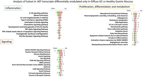 Frontiers Analysis Of Gastric Cancer Transcriptome Allows The