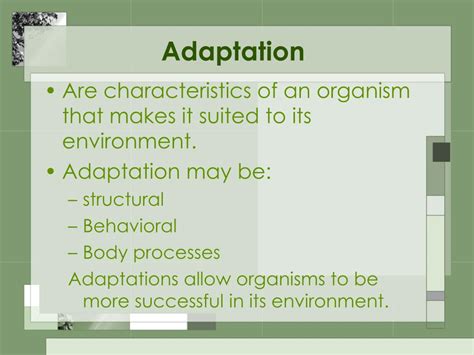 PPT - Adaptation and Variation PowerPoint Presentation, free download ...