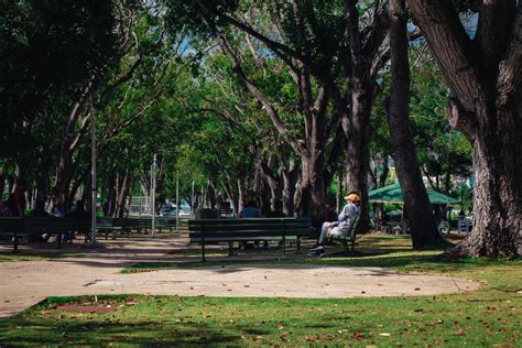 Univ del Sagrado Corazón on Twitter Verde LaVidaenSagrado