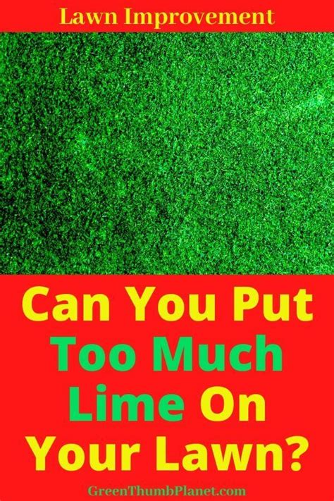 Have You Put Too Much Lime On Your Lawn Lime For Lawns Moss Lawn