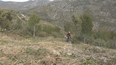 Entra en vigor la prohibició de fer foc en zones forestals una mesura