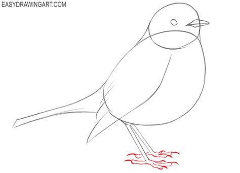 How To Draw A Robin Easy Drawing Art