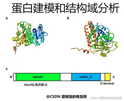 一文了解蛋白功能结构域预测与分析 Csdn博客