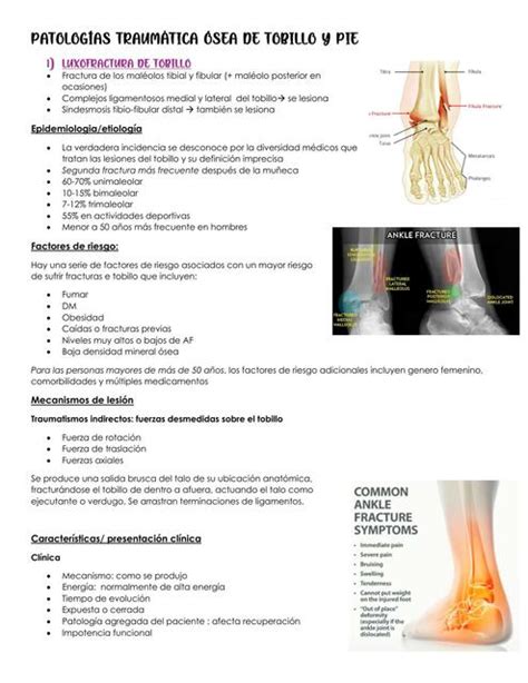 Patolog As Traum Ticas Seas De Tobillo Y Pie Javiera Faundez Udocz