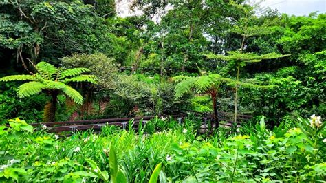 嶄新開啟，土城後花園秘境，五星級的原住民族生態公園 健行筆記