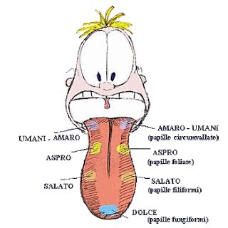 Il Gusto della Dieta Perchè ti piacciono i cibi che ti piacciono