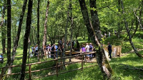 Lo Spettacolo Della Transumanza A Cuccaro Vetere La Festa In Montagna