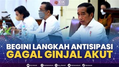 Begini Langkah Antisipasi Penyakit Gagal Ginjal Akut