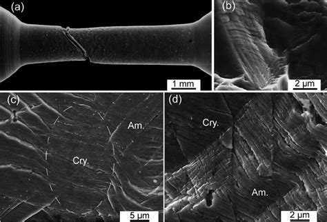 Morphologies Of The Lateral A C D And Fracture B Surfaces Of A