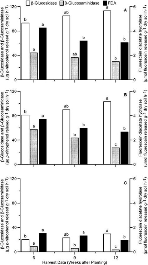 β glucosidase β glucosaminidase and fluorescein diacetate FDA