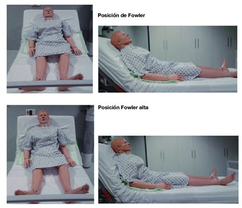 Posição De Fowler: O Que É E Quando Ela É Utilizada – PIPIH