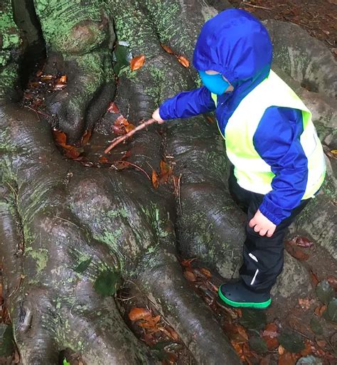 The Importance Of Stick Play — Boston Outdoor Preschool Network