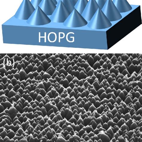 A Schematic Of Proposed Hopg Nanocone Structures B Tilted View Sem Download Scientific