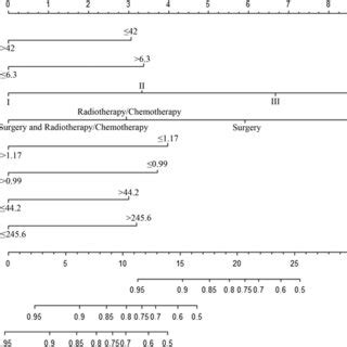 Nomogram Model Predicting The 1 3 And 5 Year OS In NSCLC Patients