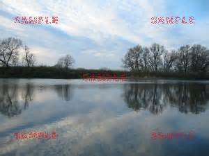 Examples of using AiS Watermark Pictures Protector. Watermarker.com ...