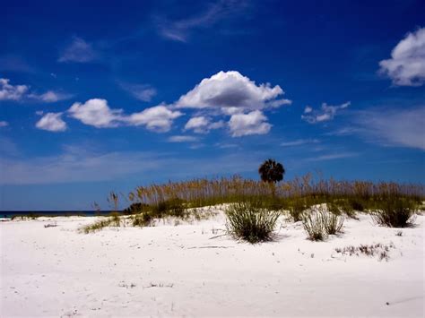 Camping in Destin, FL, US: 12 Best Campgrounds 2025 | Hipcamp