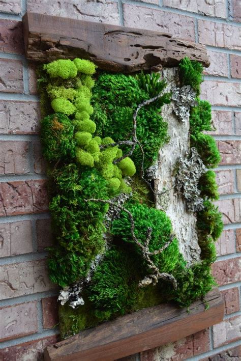 Living Moss Wall Moss Wall Indoor Gardens Moss Garden