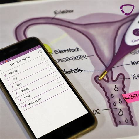 Determining Cervical Mucus Cyclotest