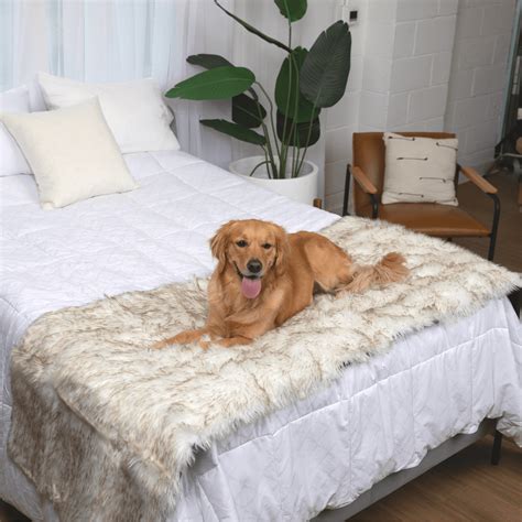 Waterproof Bed Runner Dog Blanket, White and Brown – Paw.com