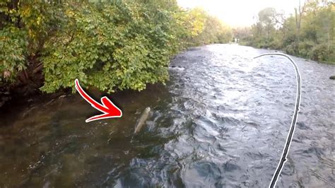 Catching Massive Trout In Shallow Water Youtube