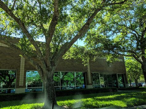 Your post office jacksonville fl visit might take longer today 9